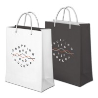 Custom Shopping Paper Bag and Cosmetic Paper Bag Printing with Logo