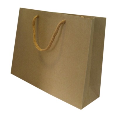 Expericnecd Brown Kraft Paper Bag